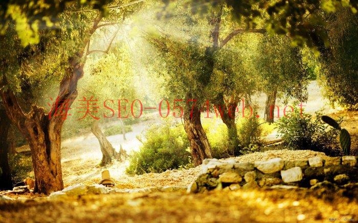 【常見問題】SEO 需要花多少時間才能看到成效？ - SEO公司| 企業(yè)網(wǎng)絡(luò)營銷| 百度關(guān)鍵詞排名- 海美SEO