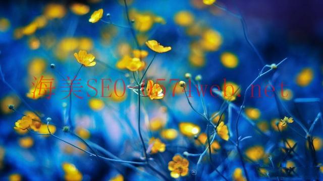 【SEO 入門(mén)攻略一】SEO 重要嗎？ 一文了解什么是 SEO！