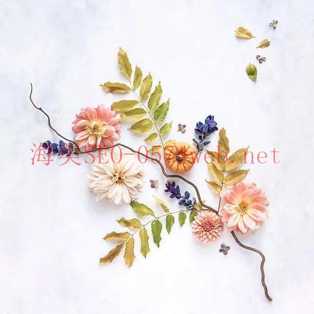 【結(jié)構(gòu)化資料】如何啟用複合式搜尋結(jié)果？｜SEO 入門(mén)攻略六
