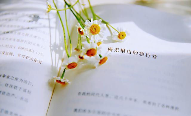 該選擇網(wǎng)站設計公司還是自架網(wǎng)站？優(yōu)缺點大分析！ - 海美seo【寧波海美seo優(yōu)化官網(wǎng)】