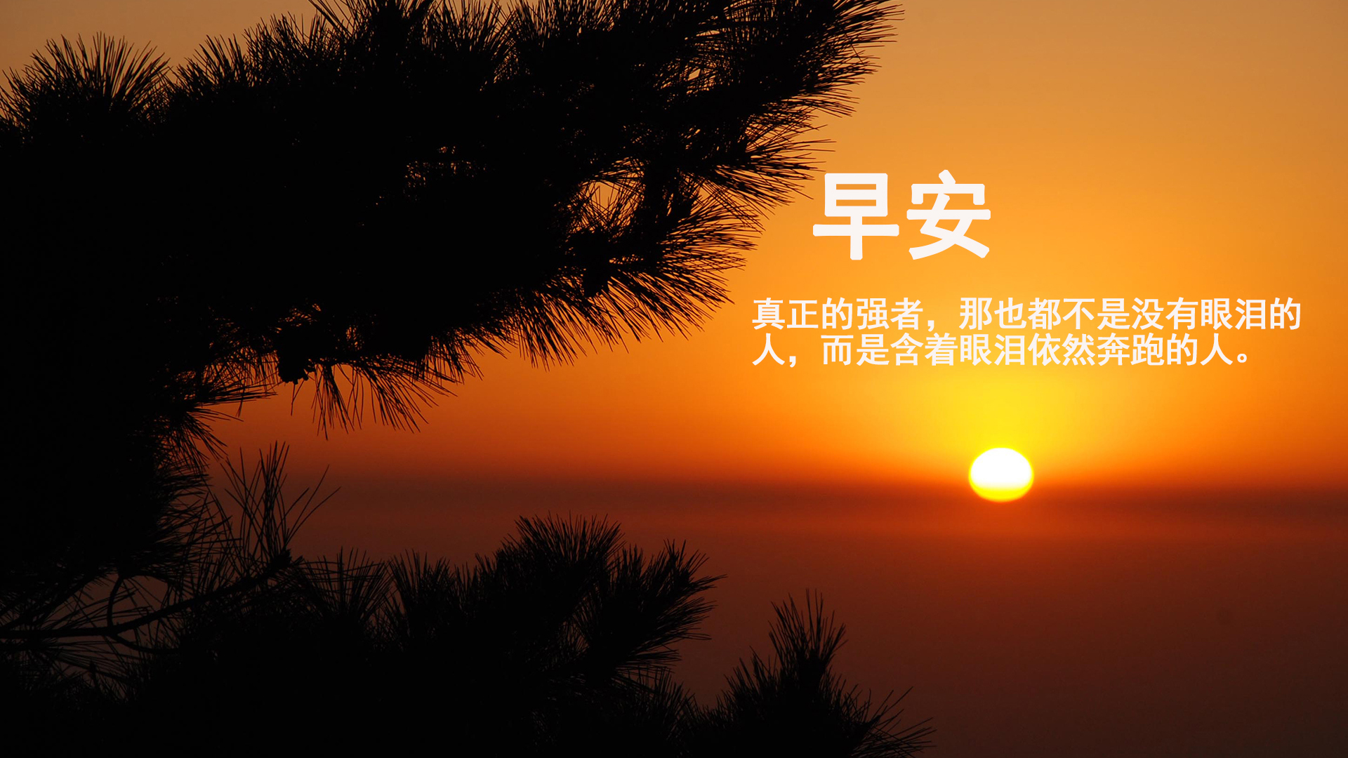 COVID-19如何改變搜尋結(jié)果頁？