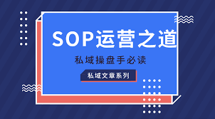 電商類(lèi)私域運(yùn)營(yíng)SOP落地方案（附運(yùn)營(yíng)表格）