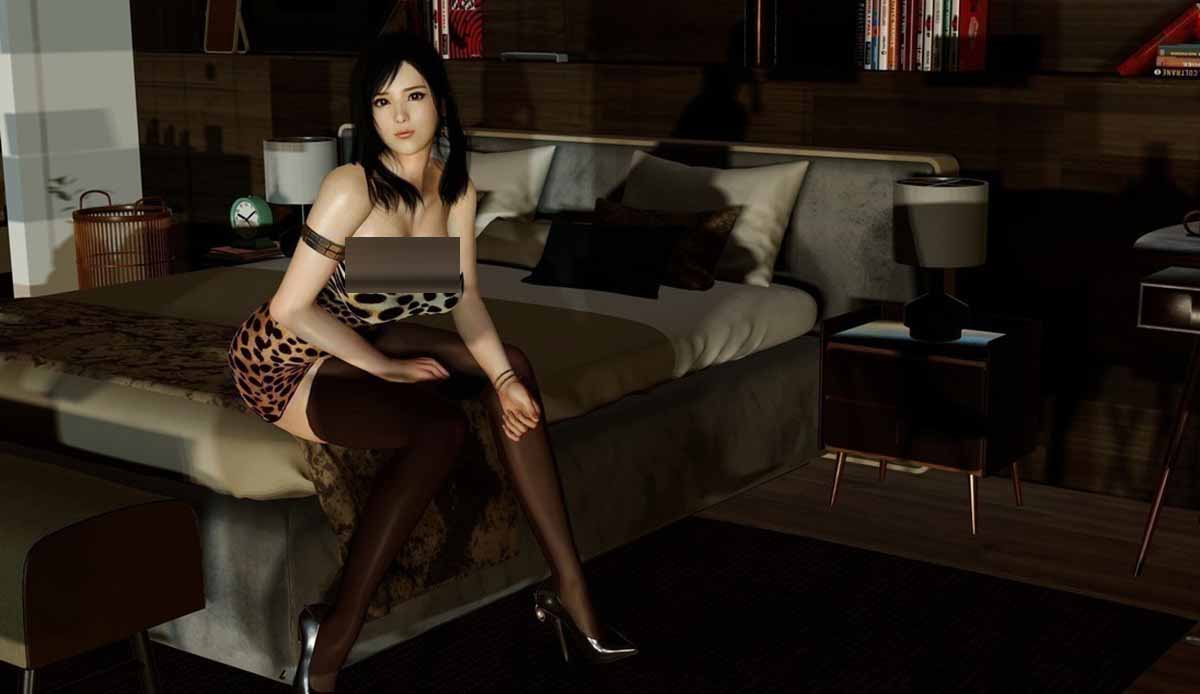 [PC/3D大作/I社/超級整合]Playhome家族崩壞豪華版V24：出圖神器 附帶增量包 [168G]