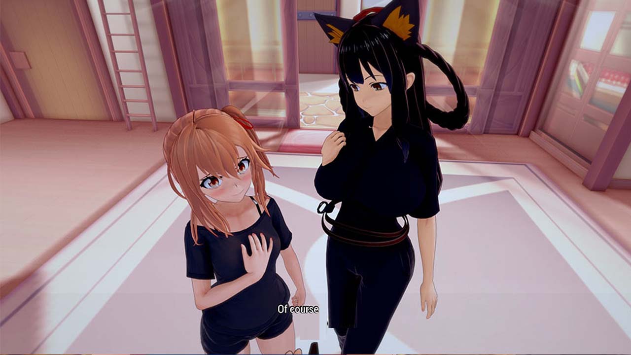 勇者后宮公會(huì)/Hero’s Harem Guild PC+安卓漢化版