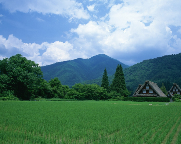 東莞網(wǎng)站推廣優(yōu)化