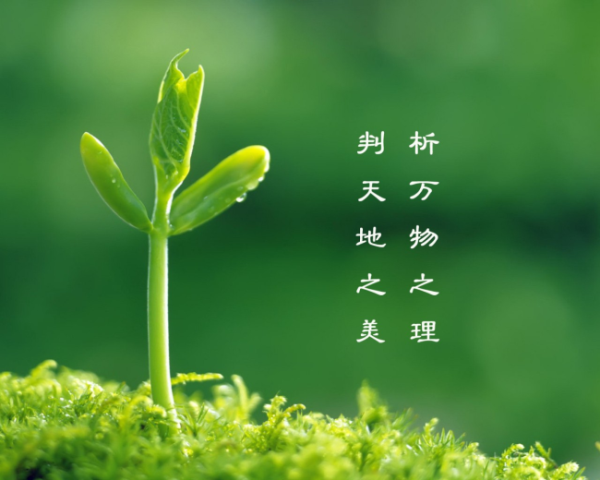 chatgpt如何潤色