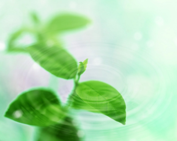 推薦幾個(gè)bt搜索引擎
