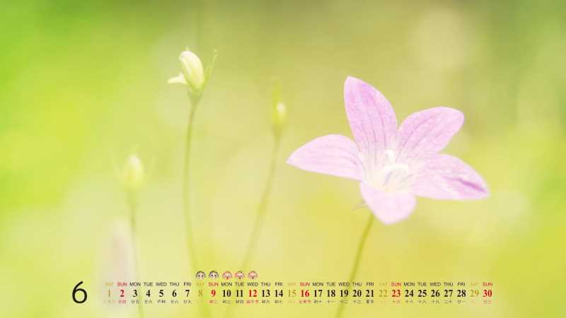 jQuery animate() 方法詳解