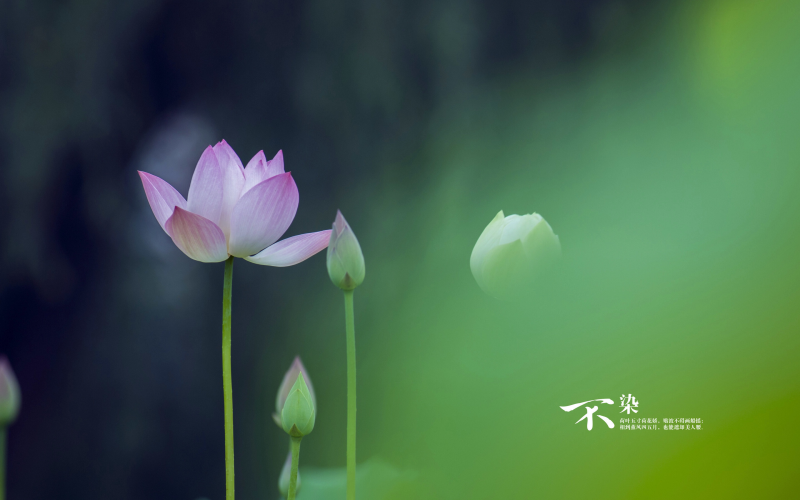 如何寫(xiě)升級(jí)文案范文