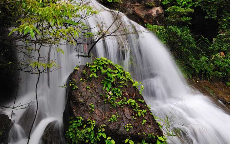 深度學(xué)習(xí)在移動(dòng)端的優(yōu)化