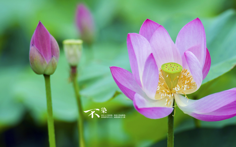 如何優(yōu)化移動端策略